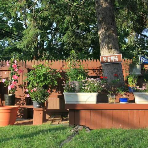 DIY--后院搭建落松台