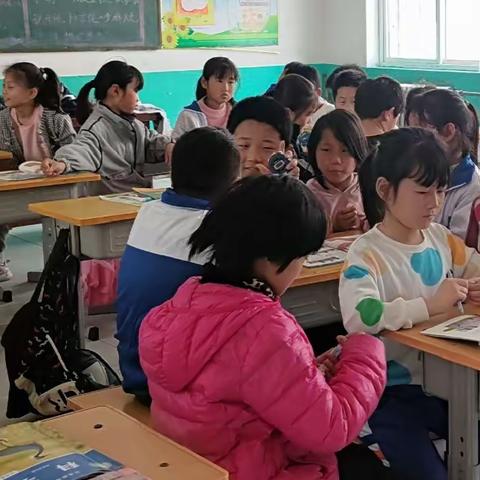实验，开启探究之门——邱城小学三年级科学实验课纪实