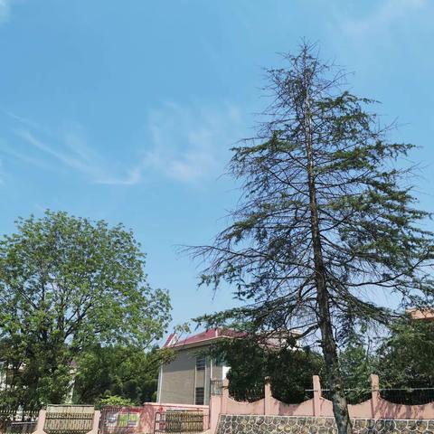 裘坊幼儿园2020年暑假告家长书