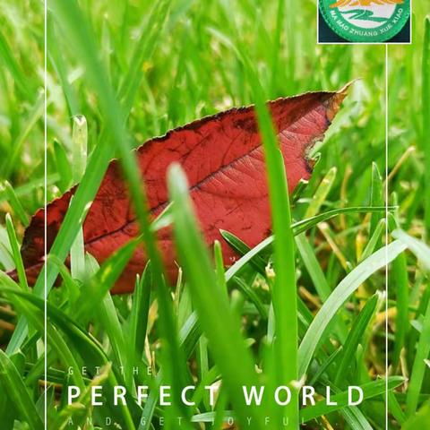 前行中收获 研讨中深化                ——记马茂庄小学五年级语文教研活动