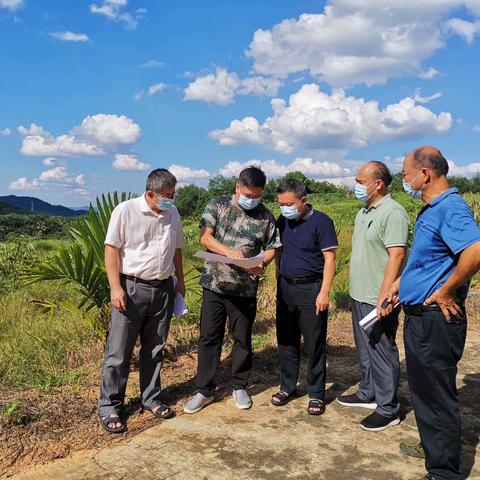 乌石农场公司积极推进"全球热带水果种植项目”调研工作