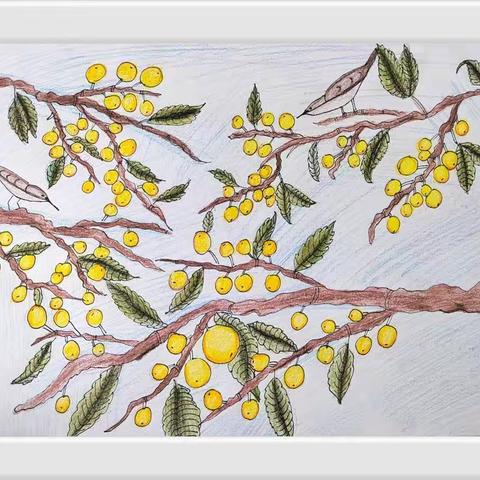 《枇杷》绘画作品欣赏