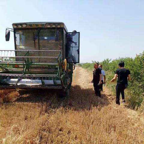 年复一年丰收时，政通人和国富强。