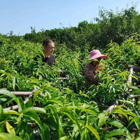 管理站工作周报5.15