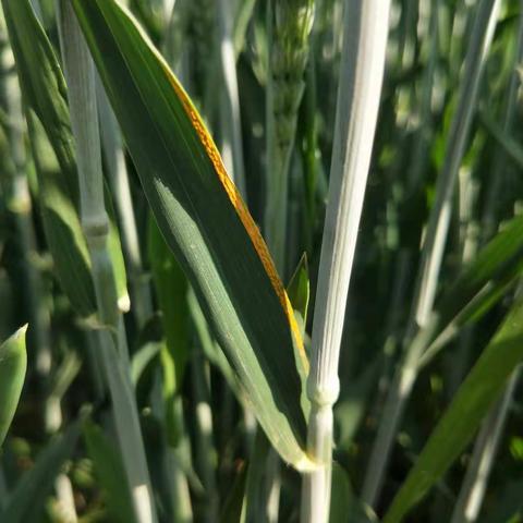 管理站工作周报4.30