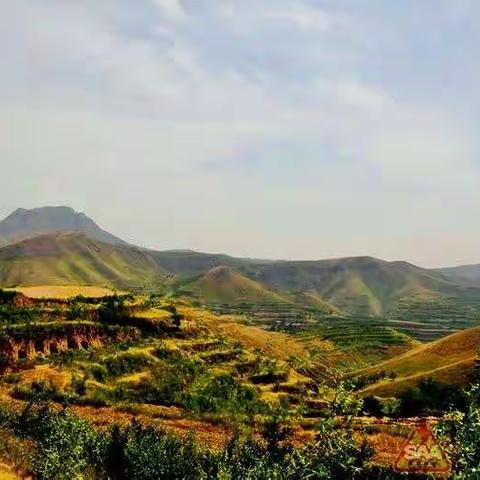 石榴滴灌增效益，绿水青山借经验