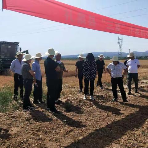 我县召开“三夏”小麦机收现场会