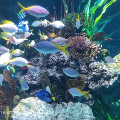 上海长风海洋世界