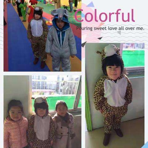 大一班宝贝们在爱与快乐中成长