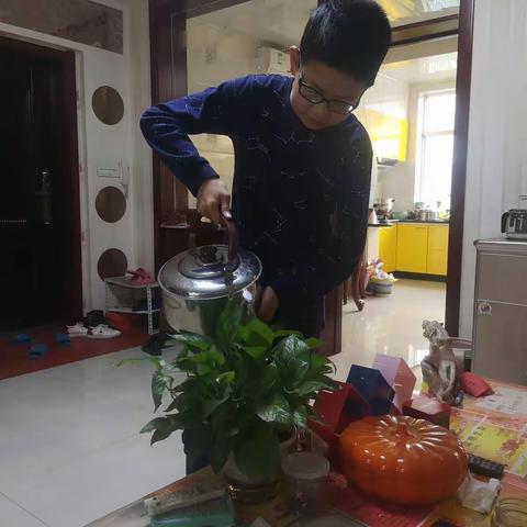 人生在勤,不索何获--杨曼睿劳动篇