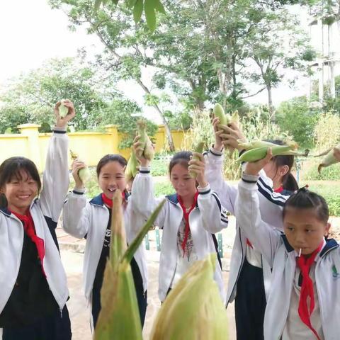 2021春季敦茶小学项目化学习探究