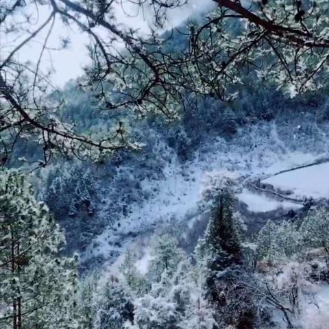 四川木里雪景