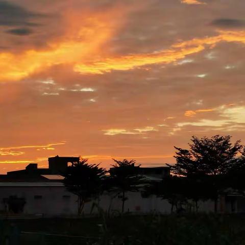 故乡，朝霞满天