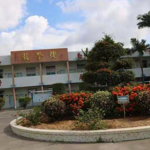 棉絮纷飞，学子归来……