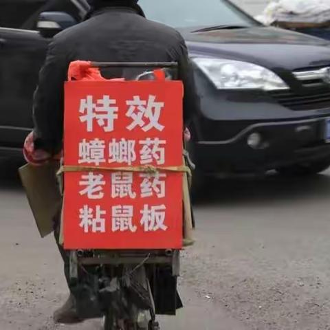 卖鼠药（小小说）