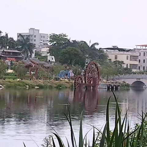 微型散文诗（一组）