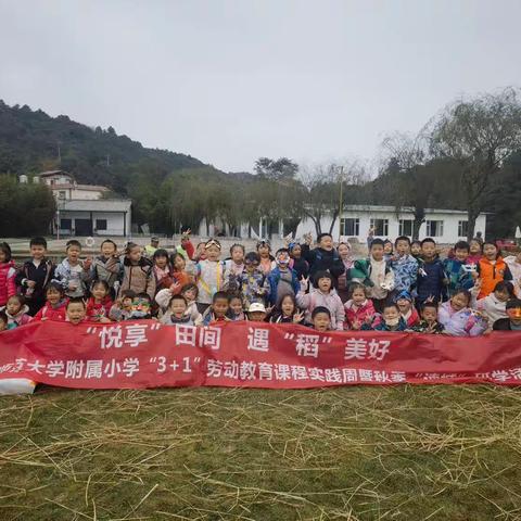 “悦享”田间，遇“稻”美好--云南师大附小呈贡校区一年级“3+1”劳动教育课程实践周暨秋季“读城”活动