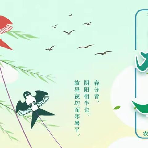 二十四节气之春分—保健篇【中班】