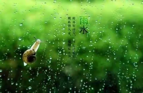 二十四节气之雨水—保健篇【中班】