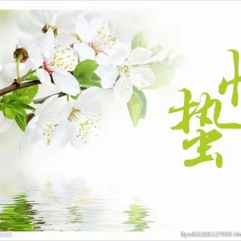 二十四节气之惊蛰—保健篇【中班】