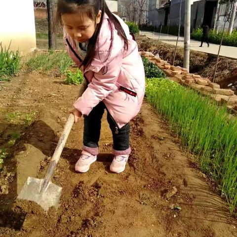 大二班社会实践活动