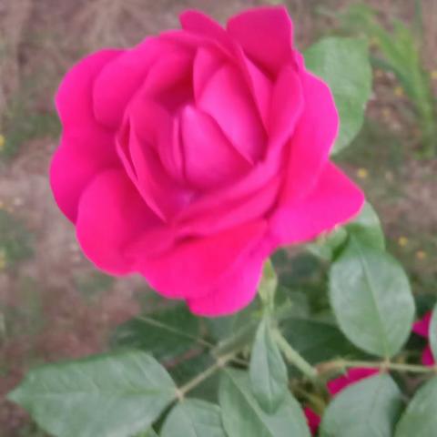 舞动青春     放飞梦想                              一一赤道九年制庆“六一”暨校园科技艺术节记实