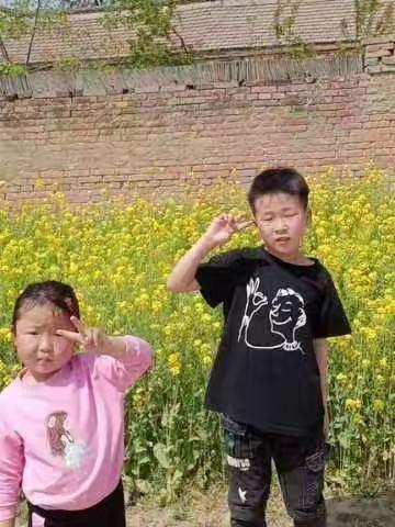 快乐人生的美篇