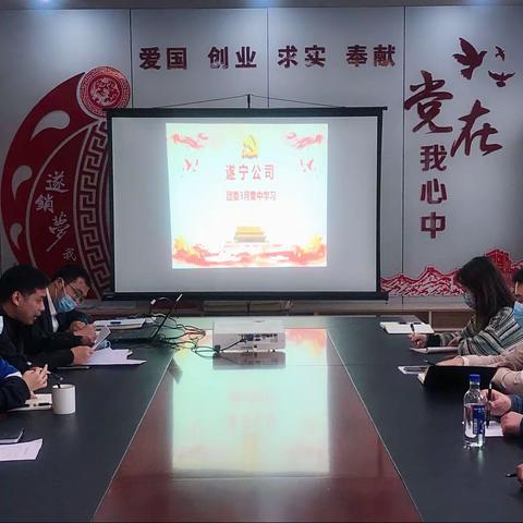 遂宁公司团委召开3月集中学习会