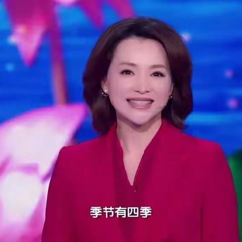 从《中国诗词大会》中看到……