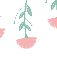 生日“童”聚，快乐共享—宏星幼儿园4月份集体生日会