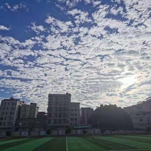 “建党百年新时代，强国少年有我在”广州市花都区狮岭镇合成小学第三届体育节暨第十六届校运会