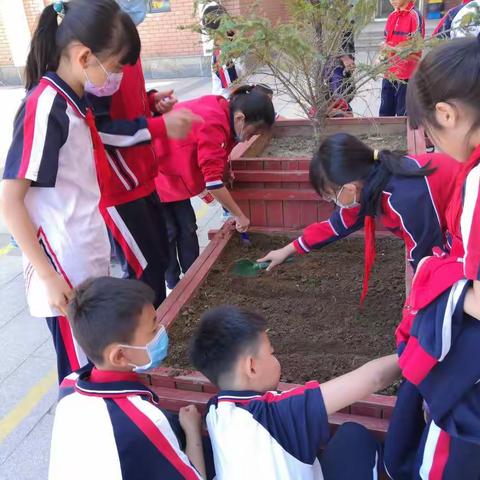 【“双减”进行时】让希望播种、让成长开花——恒昌店巷小学五里营校区劳动教育活动