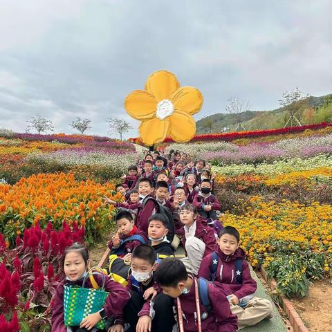 大家好，我是三（5）班的金钰轩