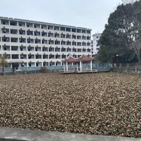 教育是育而后才教的艺术