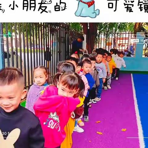 媞媞宝宝幼儿园中一班春季学期总结