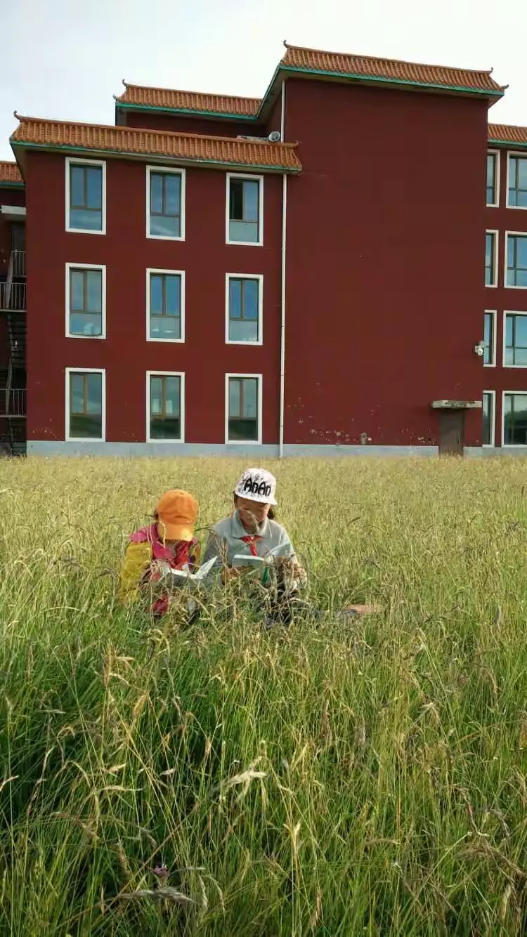 青海省三角城种羊场学校举行班级文化建设评比