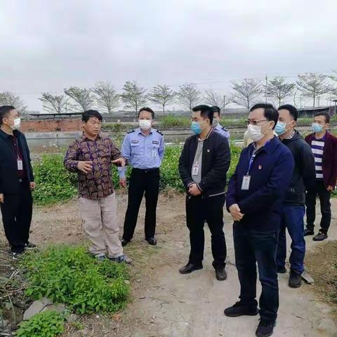 市林业局各级党组织积极开展新型冠状病毒肺炎疫情防控工作