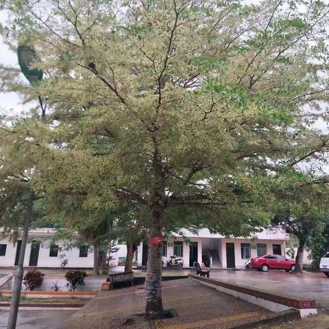 家校联合，共赢未来――文昌市南阳中心小学家长会简报