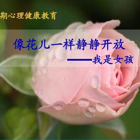 让青春的花蕾，更美！ ——明英小学新校区举行青春期健康教育讲座之女生篇