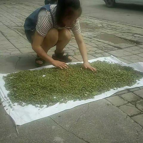 实中七（6）班“日行一善，月习一德”之家庭篇