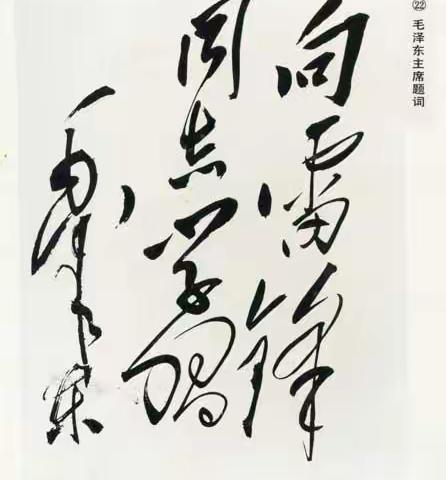 向雷锋学习，勿以善小而不为