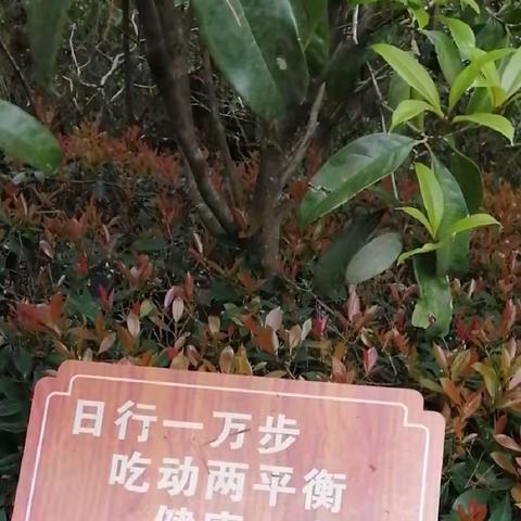 登山感怀