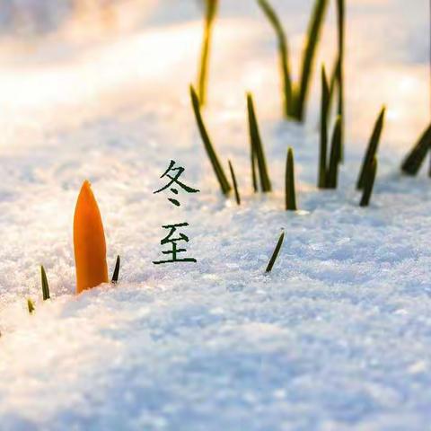 【红山一中---饺子文化节】情暖冬至，爱满校园