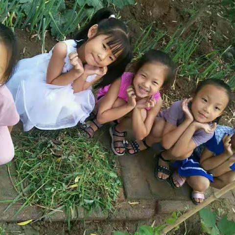 我和蔬菜宝宝一起成长