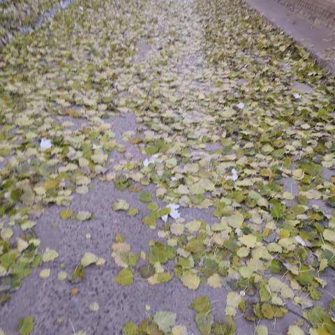 秋天里的那些事