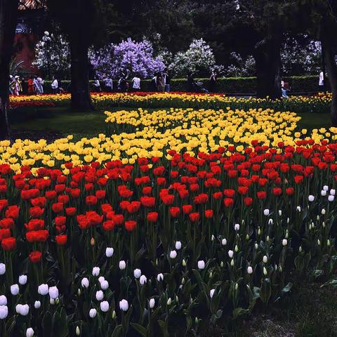 2022“郁”你有约