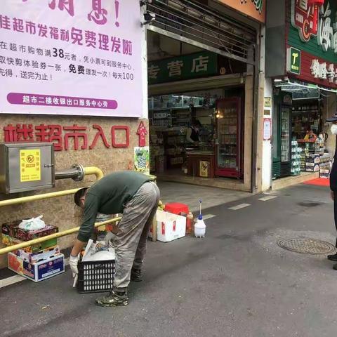 共建优美环境，创造美好家园——市综合行政执法局龙华分局工作动态（2023年2月2日）