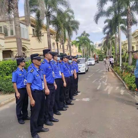 创造优美环境，共建美好家园——市综合行政执法局龙华分局工作动态（2022.6.29）