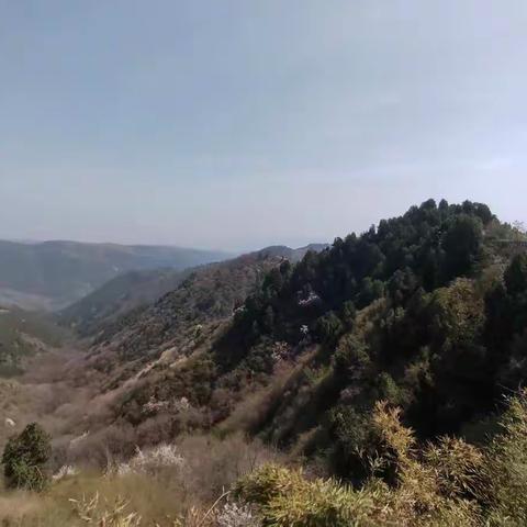 保护秦岭生态环境，守护大美临潼的青山绿水