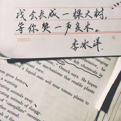 我们的百日宣言